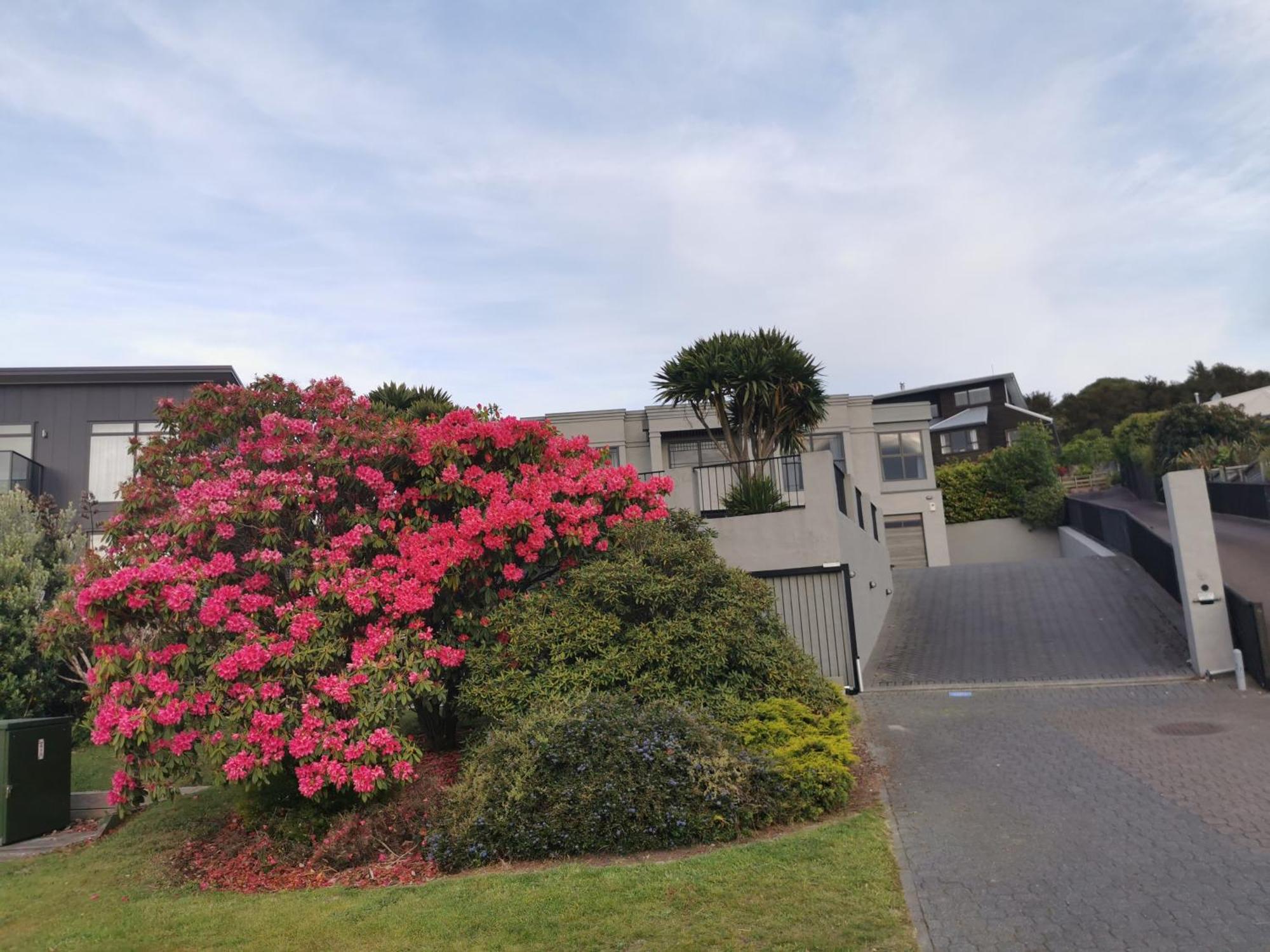 Lakeview Holiday Hideaway Taupo Eksteriør bilde