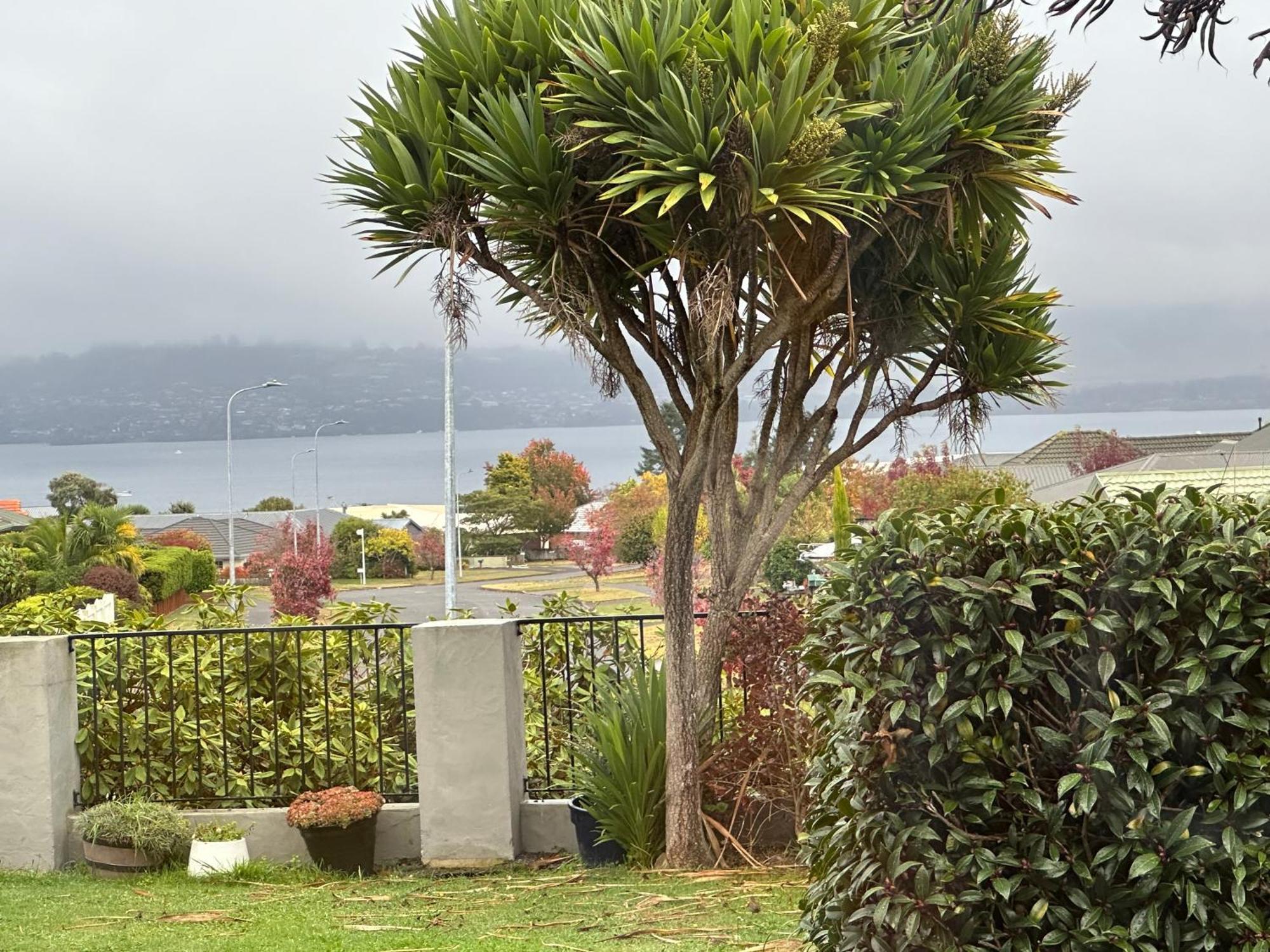 Lakeview Holiday Hideaway Taupo Eksteriør bilde